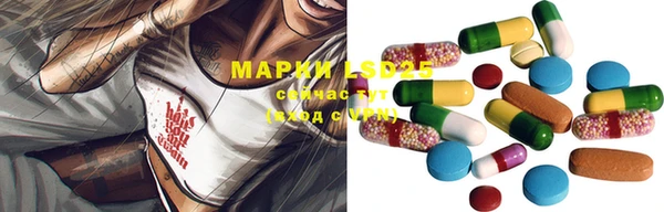 apvp Алексин