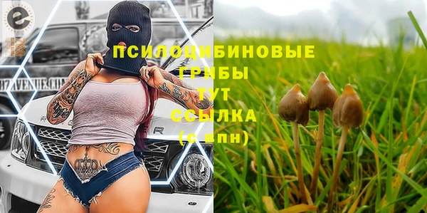 прущий лед Алексеевка