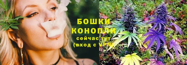 прущие крисы Арсеньев