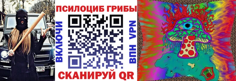 Псилоцибиновые грибы ЛСД  гидра tor  Бабушкин 